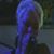 Dina Muirhead's profile image