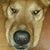 Steven Respass's profile image