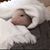 Julianne Brandes's profile image