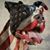 Chris Estes's profile image