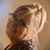 Jeanne Seelye's profile image