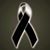 Evelyn Datiz's profile image