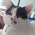 Sarah Patricia Pasquarello's profile image