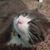 Terri Buscherhof Coleman's profile image