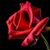 Paula Bell Bick's profile image