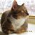 Karen Lasko's profile image