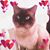 Josie Philaphone's profile image