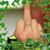 John A Kistler's profile image