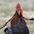 Billiam ToOne Anderson's profile image