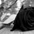 Juju Rsro Veloz's profile image