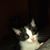 Dustea Aldridge's profile image