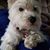 Dorri Dee Hart's profile image