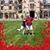 Donna Billand's profile image