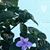 Belinda Jahn's profile image