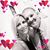Cyndi Franklin's profile image