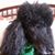 Teresa Virkler Davis's profile image
