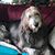 Kathy T. Blakney's profile image