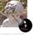 Donna Nelson's profile image