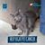 Misty Pezzuti Yoho's profile image
