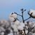 Julie Jarrott McGehee's profile image