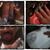 Travis Jordan's profile image