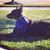 Jennifer Figg's profile image