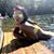 Nikki Wallschlaeger's profile image