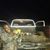 Jamarcus Travon's profile image
