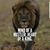 Byurnis Bj Mays's profile image