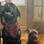 Geri Phelps Barnard's profile image