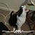 Cristine Bergeson's profile image