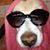 Miriam L. Velez's profile image