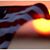 David Williams's profile image