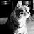 Corinne Sobiegraj's profile image
