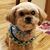 Erin Quinn Valcho's profile image
