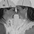 Lindsey Bartekoske's profile image