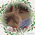 Regina Stone's profile image