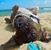 Candice Lavelle's profile image