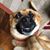 Holly Buchmann Boltz's profile image