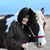 Sharon Hutchins PawsPoster's profile image