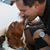 John Mutschler's profile image