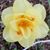 Margie Ann's profile image