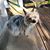 Dianne Baker Bartley's profile image