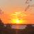 Carla Ribeiro-Ferreira's profile image