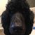 Courtney Everett's profile image