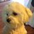 Doug Bryan's profile image