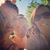 Lavonne Waite's profile image