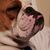 John Stretch Ayers's profile image