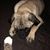 Ann StRebel Duffy's profile image