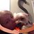 Lisa Pickard Sabine's profile image